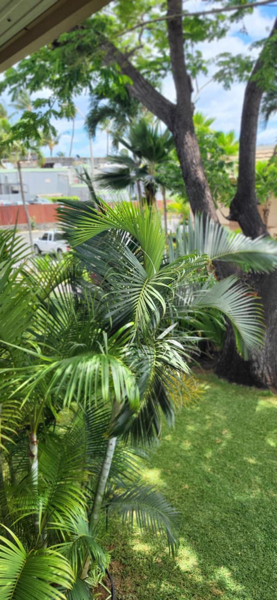 Kihei Kai Nani Resort Ngoại thất bức ảnh